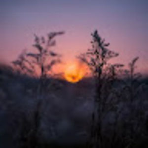 Meet your Posher, Allie